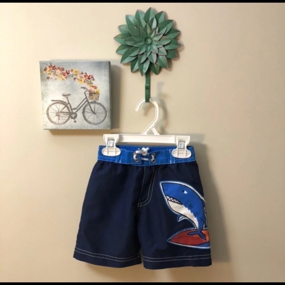Hanna andersson bathing suit set